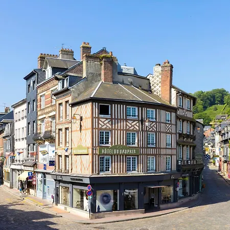 Hotel Le Dauphin-3
